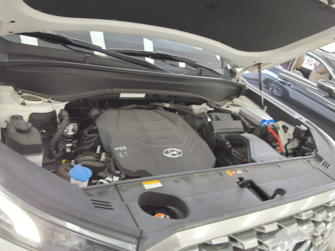 HYUNDAI PALISADE 3.8 GASOLINE EXCLUSIVE 2019 - zdjęcie 20
