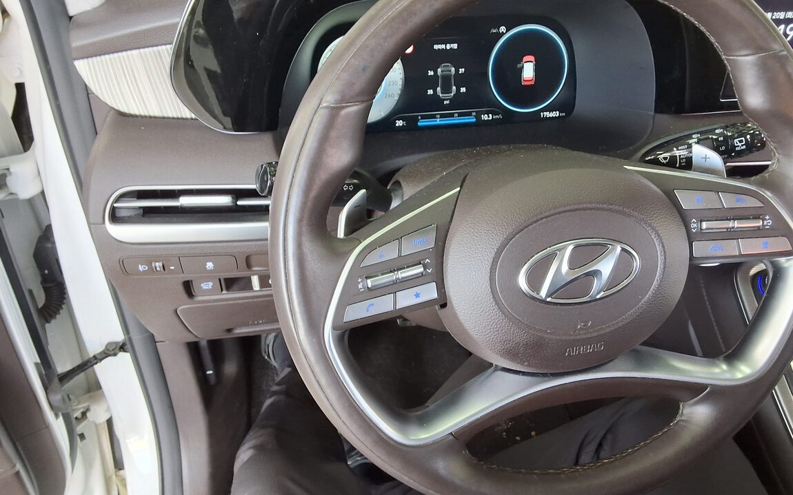 HYUNDAI THE NEW PALISADE 2.2 DIESEL 2WD CALLIGRAPHY 2024 - zdjęcie 17