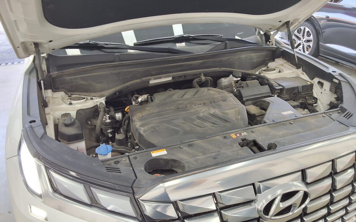 HYUNDAI THE NEW PALISADE 2.2 DIESEL 2WD CALLIGRAPHY 2024 - zdjęcie 21