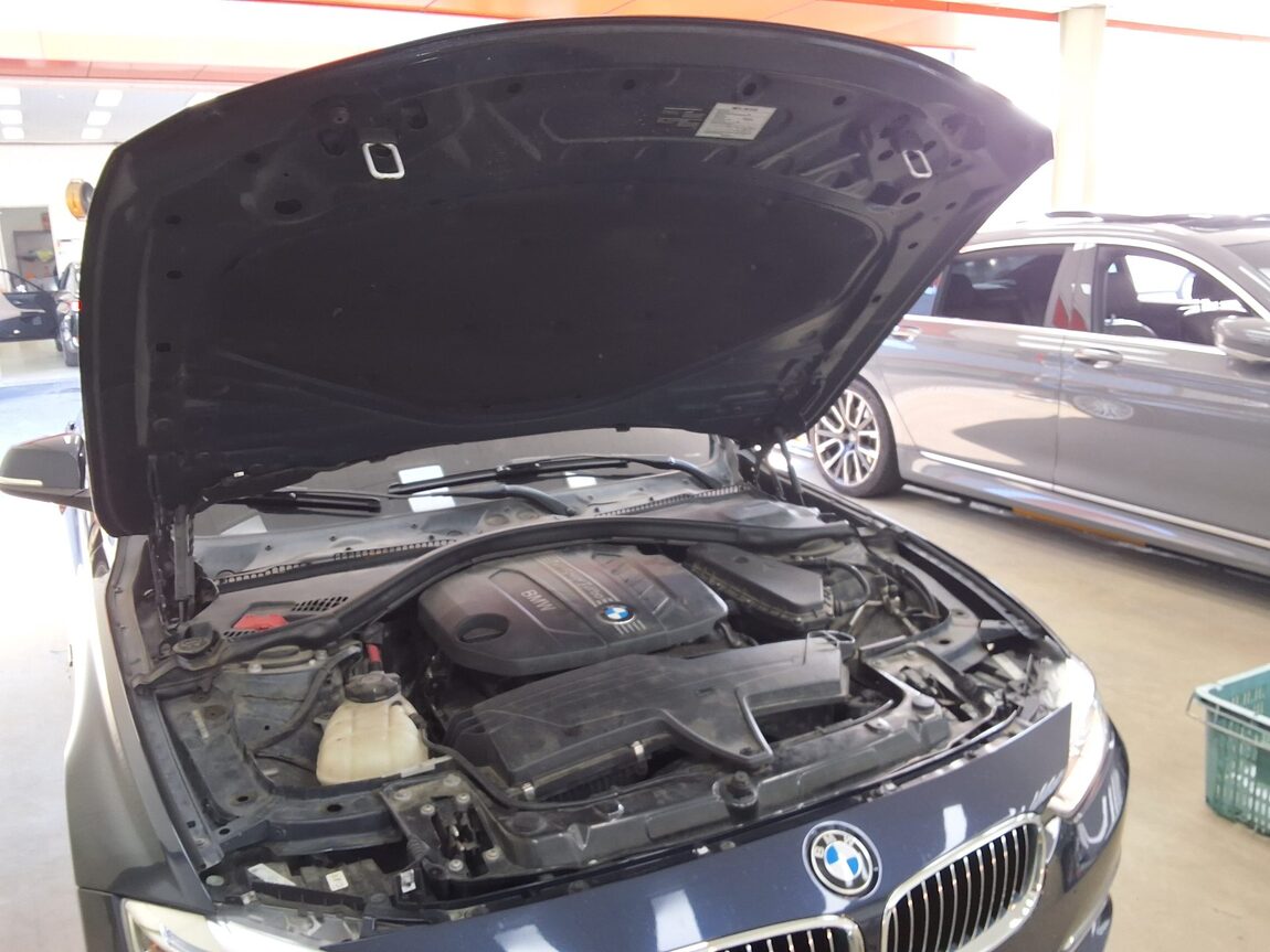BMW 3 SERIES (6TH GEN) 320d LUXURY 2012 - zdjęcie 18