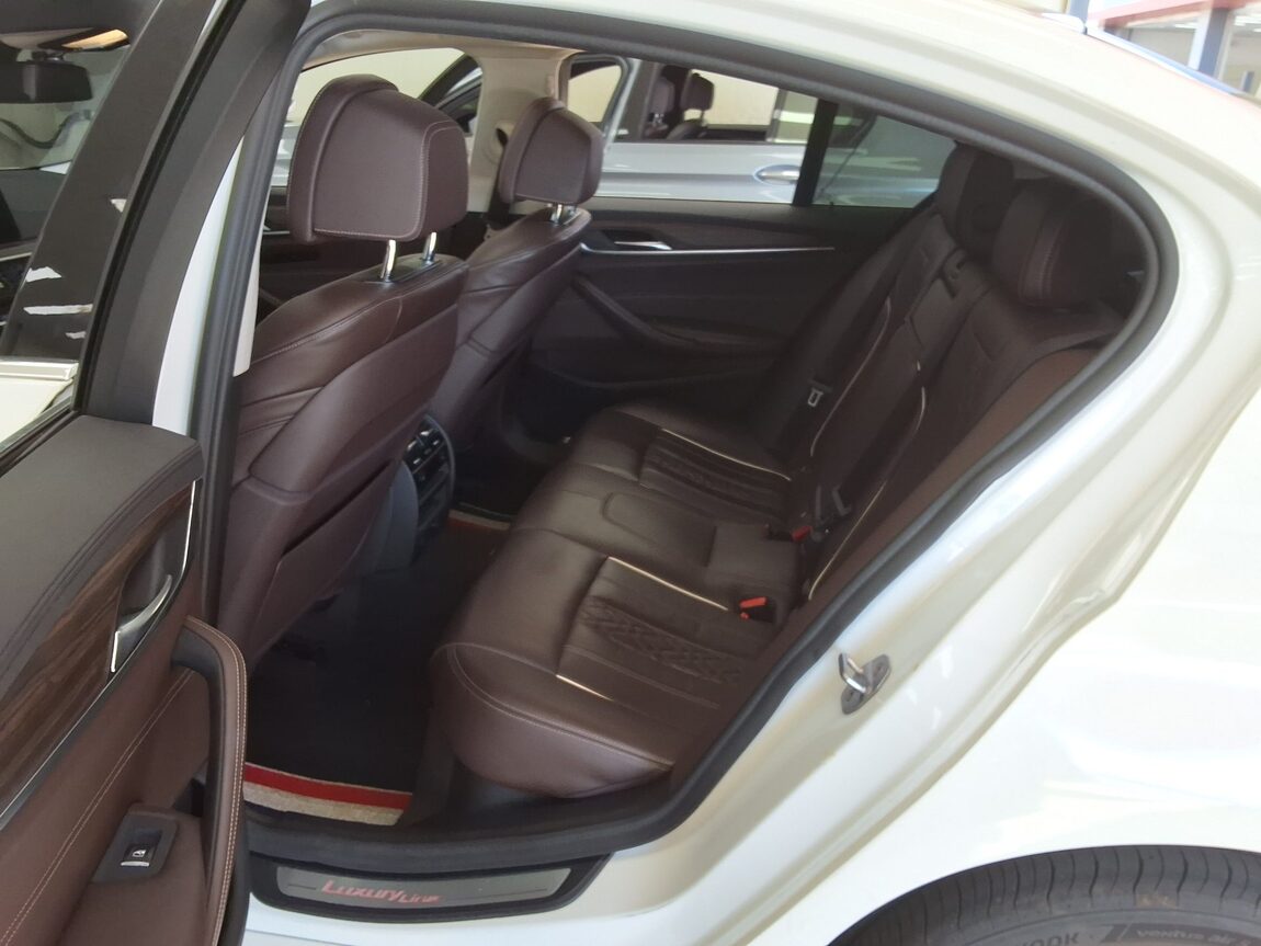 BMW 5 SERIES (7TH GEN) 530i LUXURY LINE PLUS 2019 - zdjęcie 13