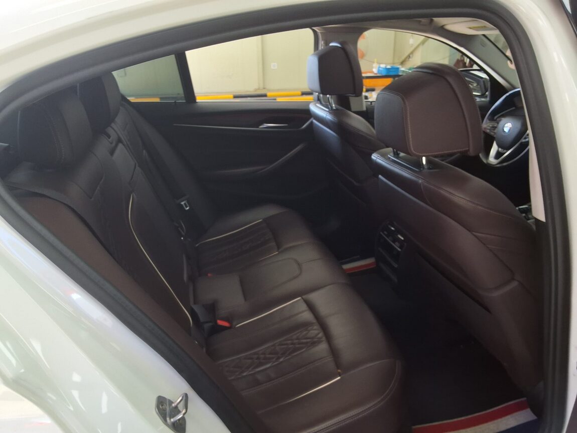 BMW 5 SERIES (7TH GEN) 530i LUXURY LINE PLUS 2019 - zdjęcie 14