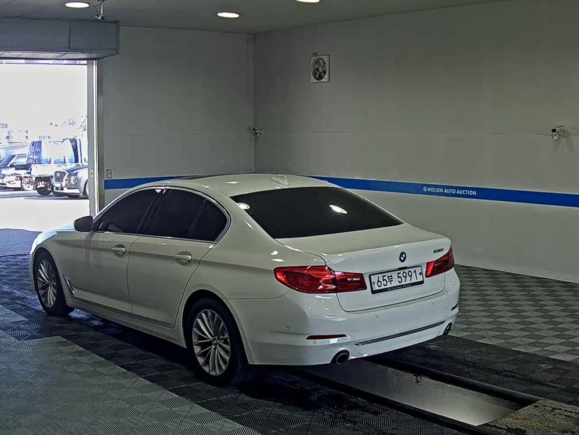 BMW 5 SERIES (7TH GEN) 530i LUXURY LINE PLUS 2019 - zdjęcie 6