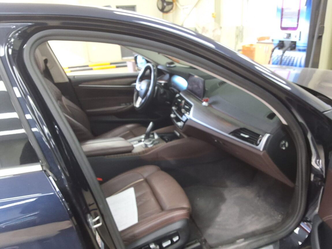 BMW 5 SERIES (7TH GEN) 520d xDRIVE LUXURY LINE PLUS 2019 - zdjęcie 15