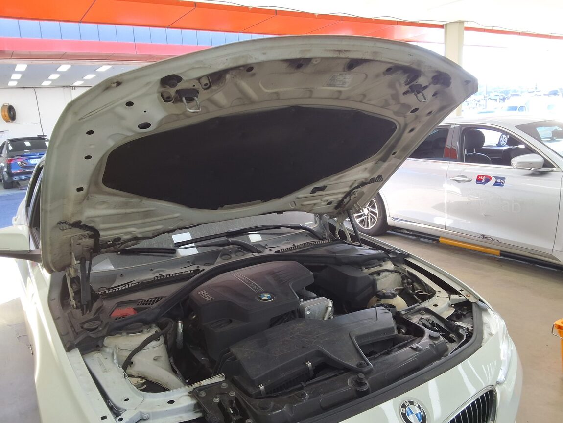 BMW 3 SERIES (6TH GEN) 320i LUXURY 2016 - zdjęcie 18