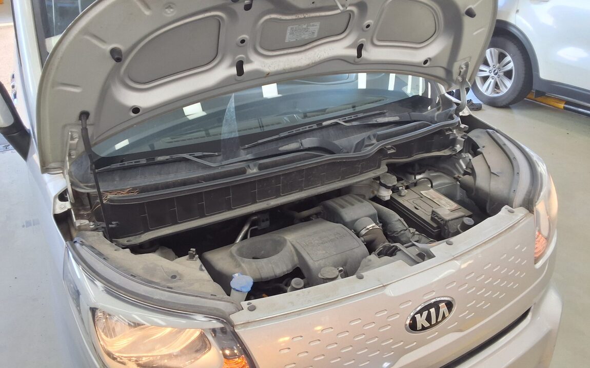 KIA THE NEW RAY VAN FOR SPECIAL SALE 2019 - zdjęcie 21