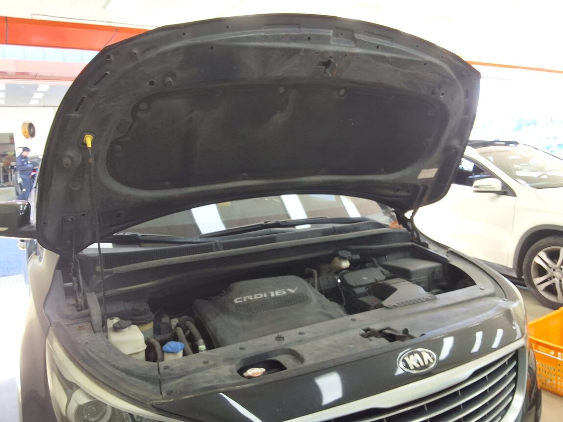KIA ALL NEW CARNIVAL 9-SEATER DIESEL PRESTIGE 2015 - zdjęcie 18