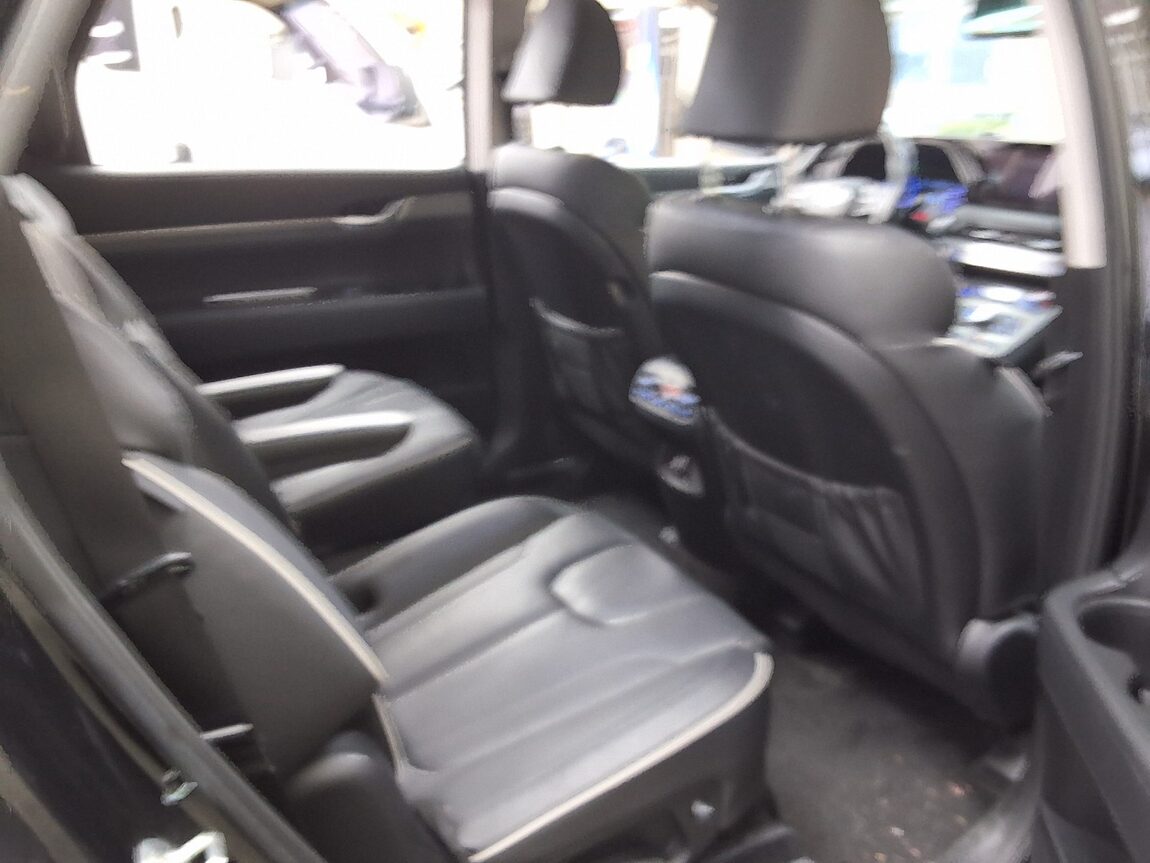 HYUNDAI PALISADE 3.8 GASOLINE AWD EXCLUSIVE 2022 - zdjęcie 14