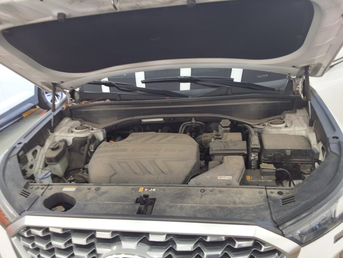 HYUNDAI PALISADE 2.2 DIESEL AWD PRESTIGE 2020 - zdjęcie 19
