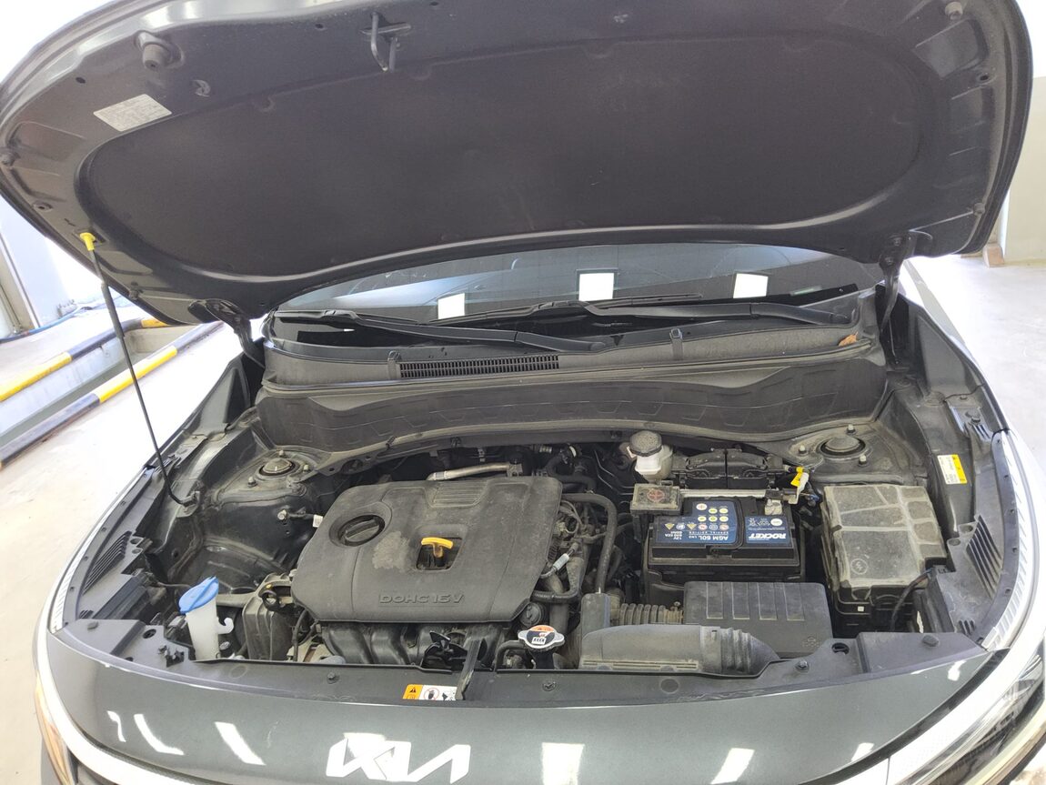 KIA THE NEW SELTOS 2.0 GASOLINE 2WD TRENDY 2024 - zdjęcie 20