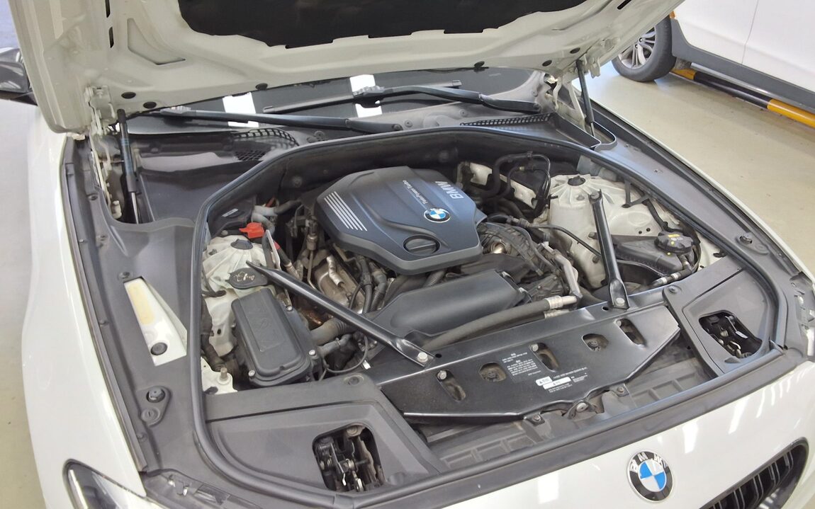BMW 5 SERIES (6TH GEN) 520d xDRIVE M AERODYNAMIC PRO 2016 - zdjęcie 22