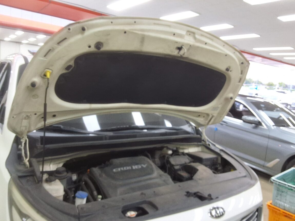 KIA ALL NEW CARNIVAL 9-SEATER DIESEL PRESTIGE 2015 - zdjęcie 18