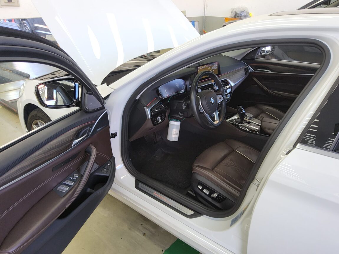 BMW 5 SERIES (7TH GEN) 530e LUXURY LINE PLUS 2020 - zdjęcie 10