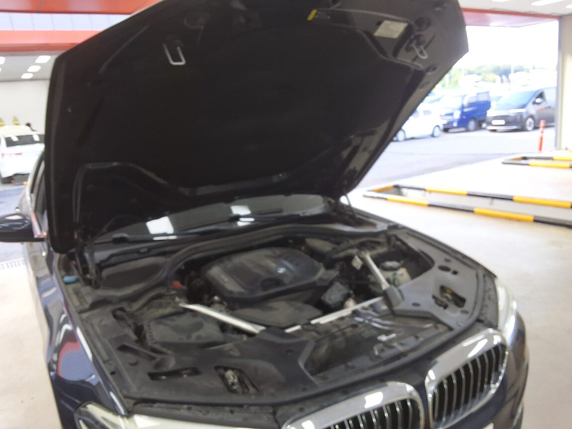 BMW 5 SERIES (7TH GEN) 520d xDRIVE LUXURY LINE PLUS 2019 - zdjęcie 18