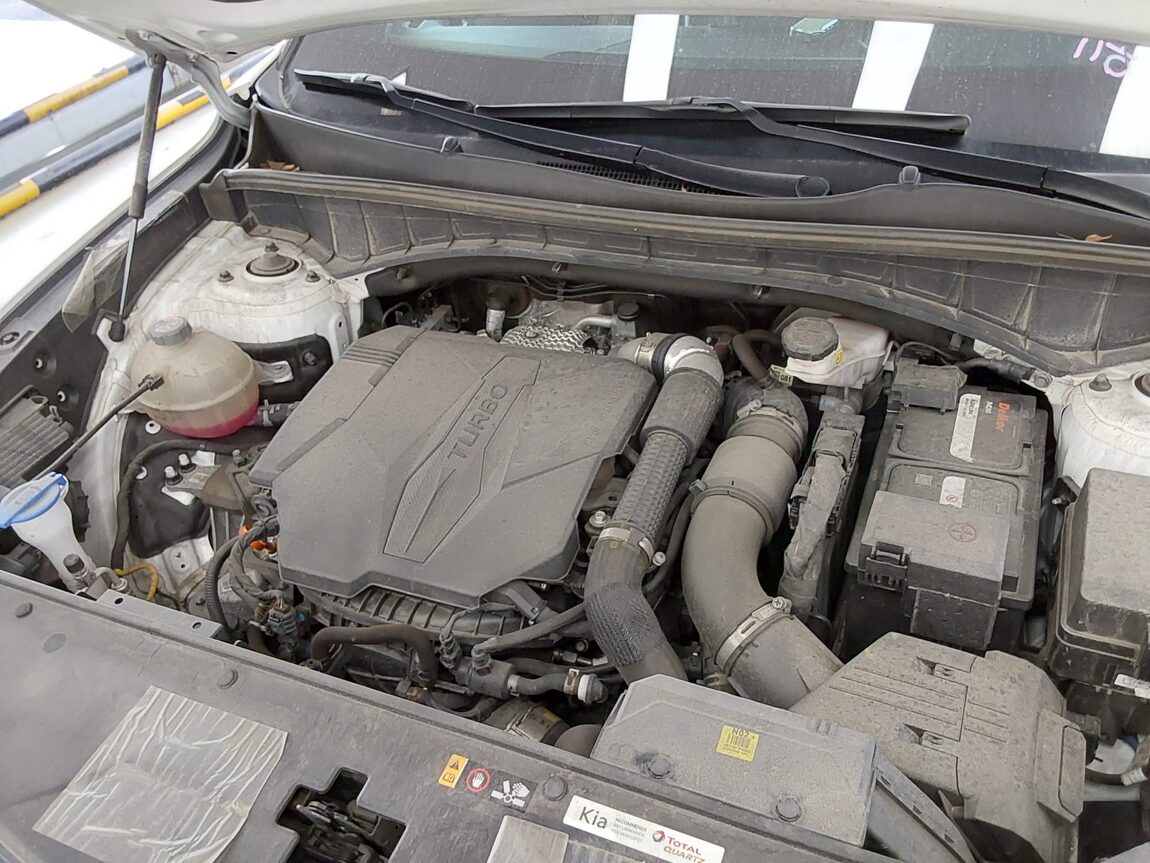KIA NEW SORENTO (MQ4) 2.5 GASOLINE 2WD SIGNATURE 2023 - zdjęcie 18