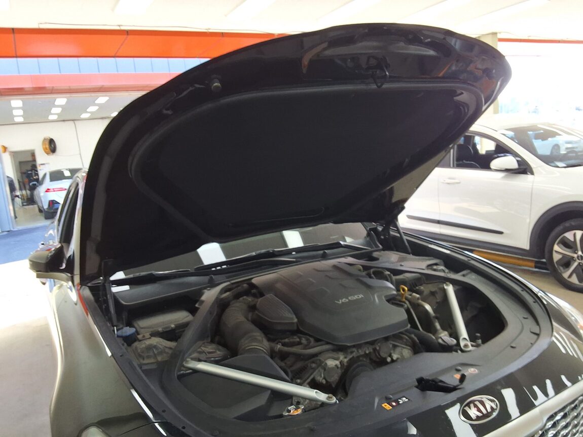 KIA THE K9 (RJ) 3.8 GDI AWD PLATINUM II 2019 - zdjęcie 18