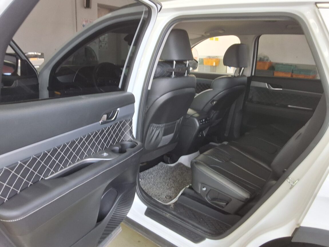 HYUNDAI PALISADE 3.8 GASOLINE EXCLUSIVE 2019 - zdjęcie 12