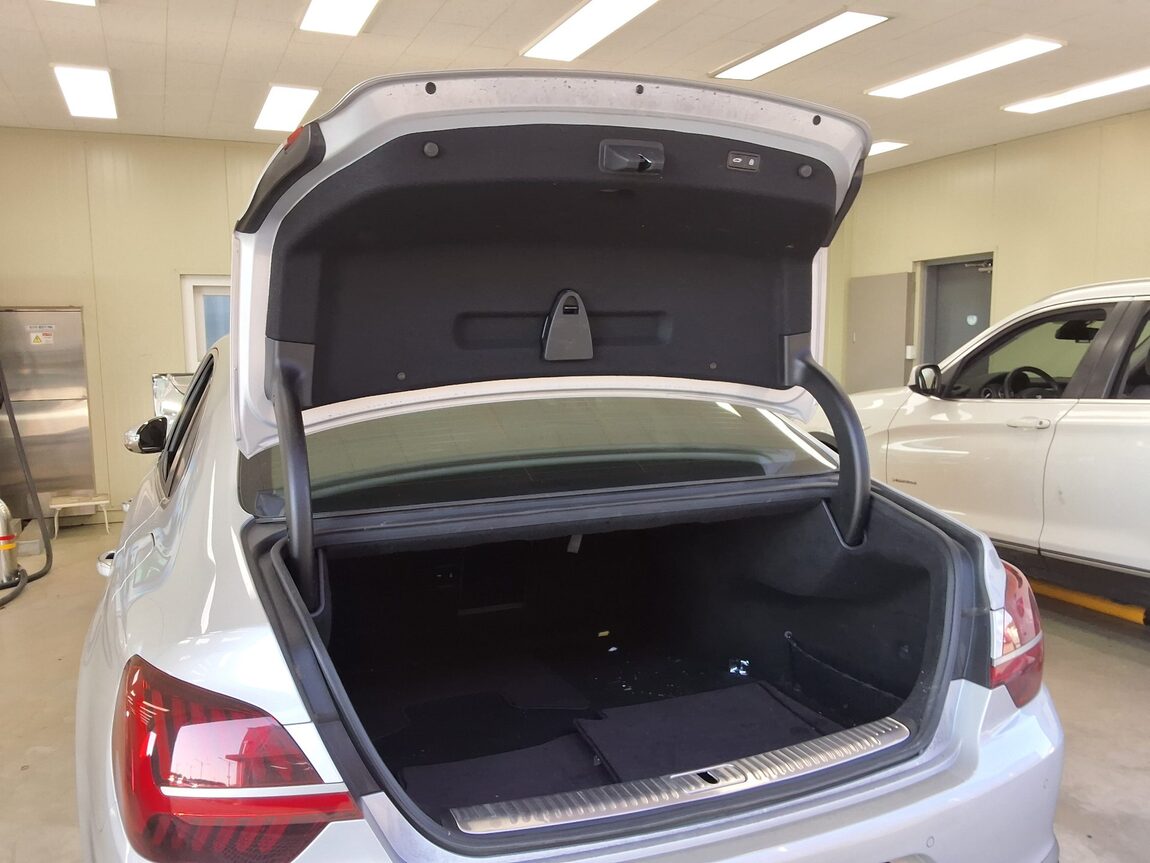 KIA THE NEW K9 (RJ) 3.8 GASOLINE AWD PLATINUM BEST SELECTION I 2022 - zdjęcie 16