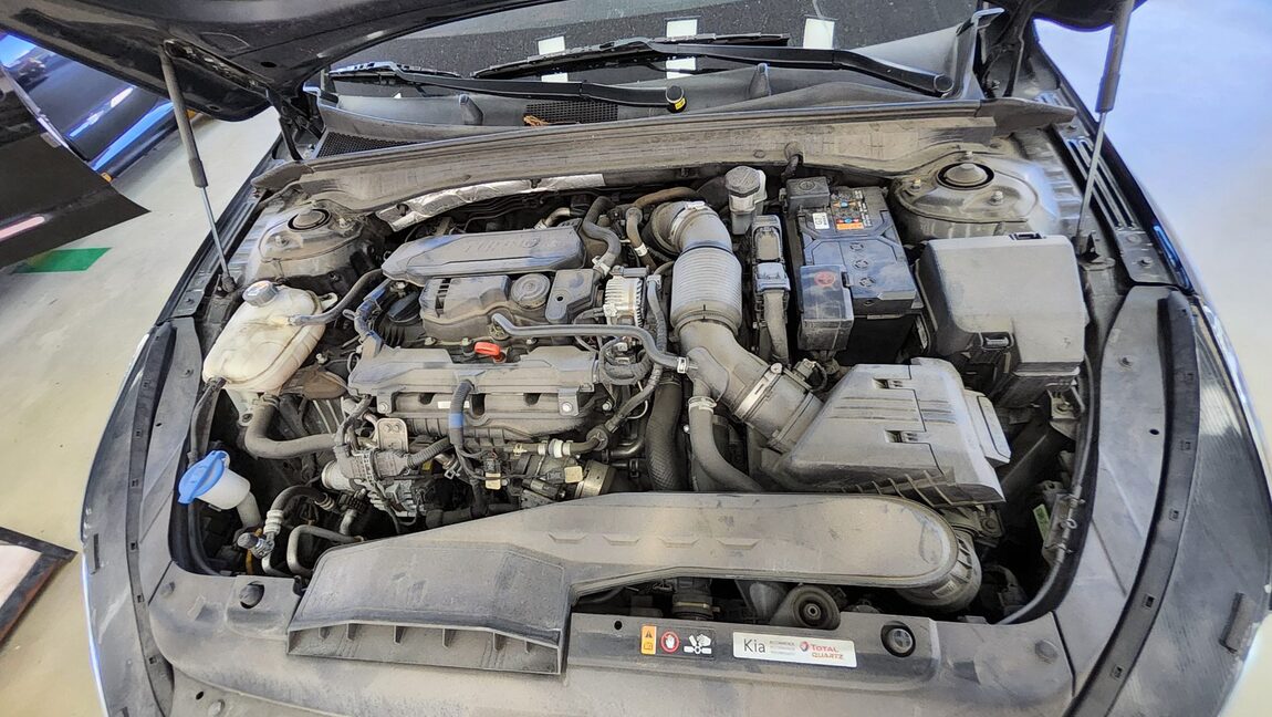 KIA NEW K5 (DL3) 1.6 GASOLINE TURBO NOBLESSE 2021 - zdjęcie 21